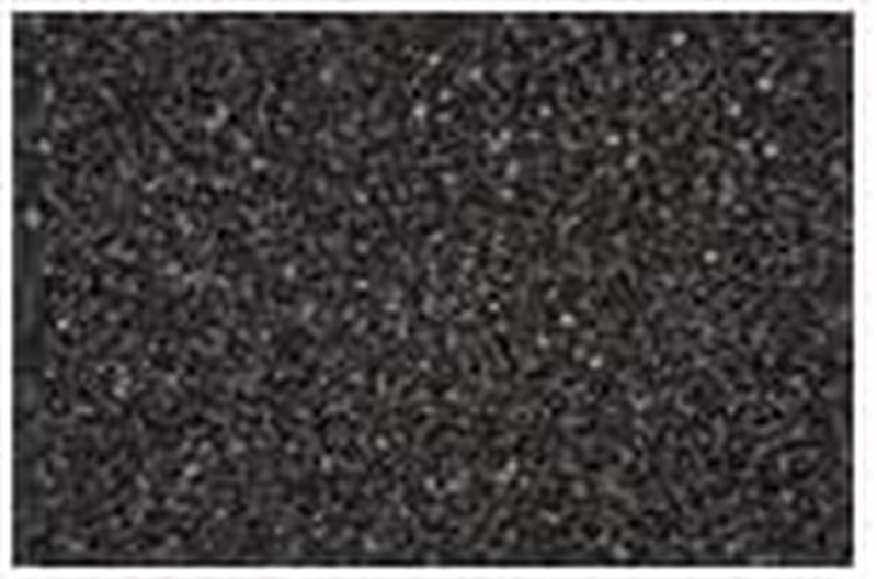 K03805A00 Glitter Blast Glitter Spray Paint for Craft Projects, Starry Night Sil gallery