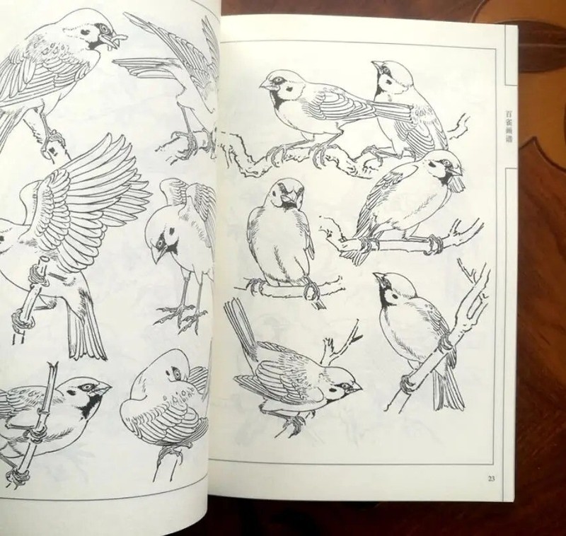 Water Ink Painting Hundred Bird Sketch Brush Ink Art Tattoo Reference Book gallery