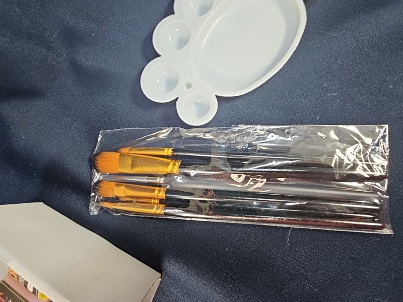 Acrylic Leather Paint (12 colors), Flexible & Durable Shoe Paint 6 brushes NIOB gallery