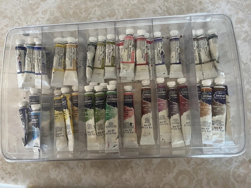 26 Windsor and Newton Professional, Watercolor 5 ml & 22 Cotman W/C 8ml (194ME)
