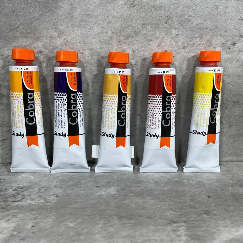 5 Royal Talens Cobra Study Water Mixable Oil Colour Paint 40 ml Tubes NEW Winsor