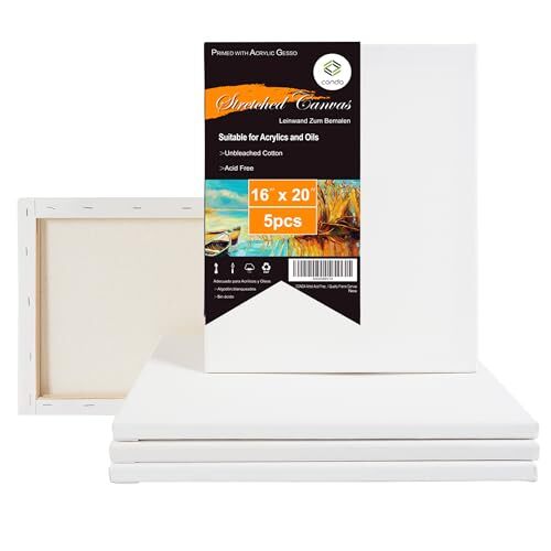 16×20 inch Stretched Canvas for Painting, Pack of 5, Primed, 100% Cotton 5/8 …