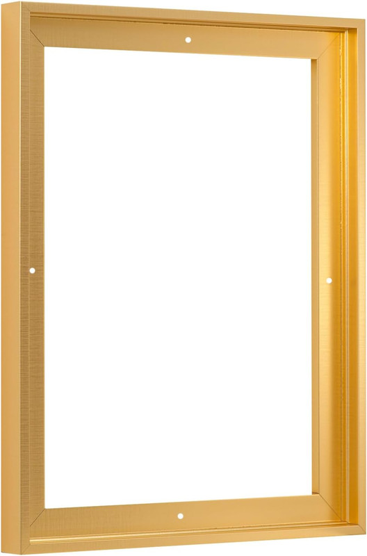 18X24 Inch Floater Frame for Canvas Paintings, Wood Panels, Canvas Panels & Stre