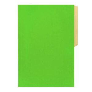 Carpeta Cartulina Pigmentada Verde Claro Motarro