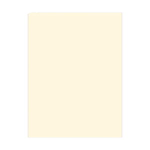 Cartón Pintado Piel 55 x 77 cms